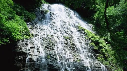 绿色绿色